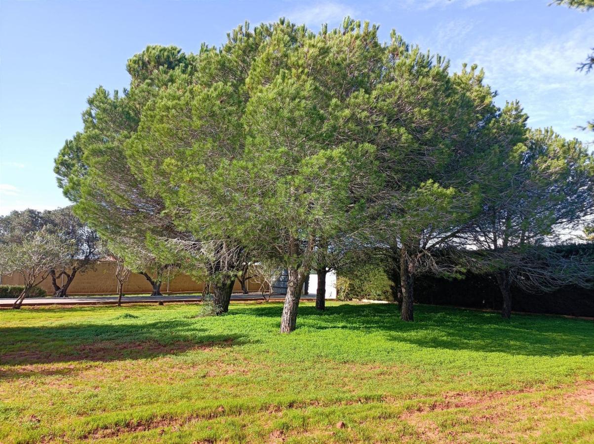 Casa Con Piscina Privada Y Barbacoa En Chiclana Capacidad Hasta 10 Personas Villa Chiclana de la Frontera Exterior photo